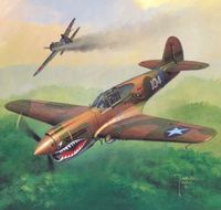 Curtiss P-40E - American Fighter - Image 1